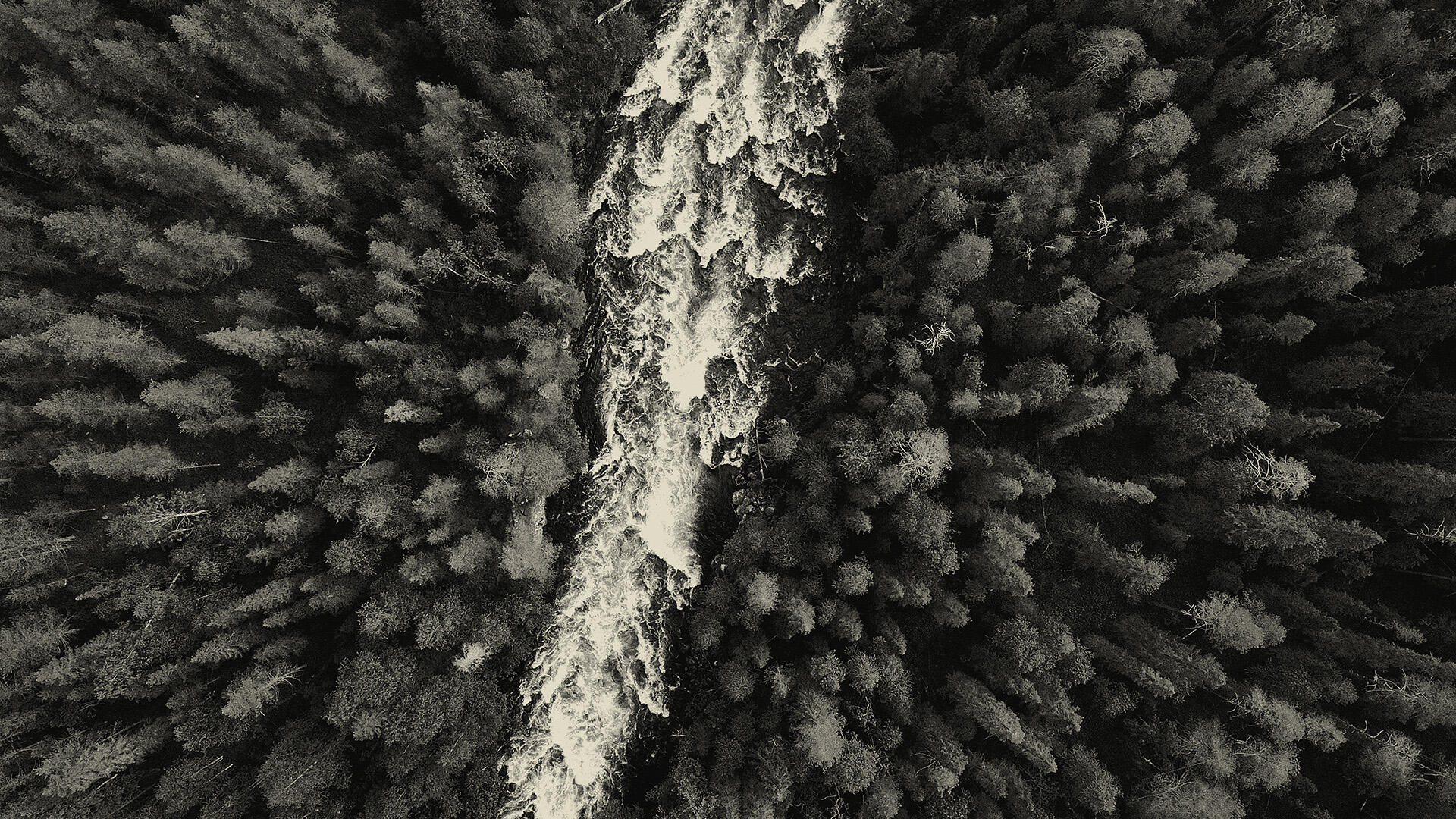 Beperkingen in licentieovereenkomst door mededingingsrecht