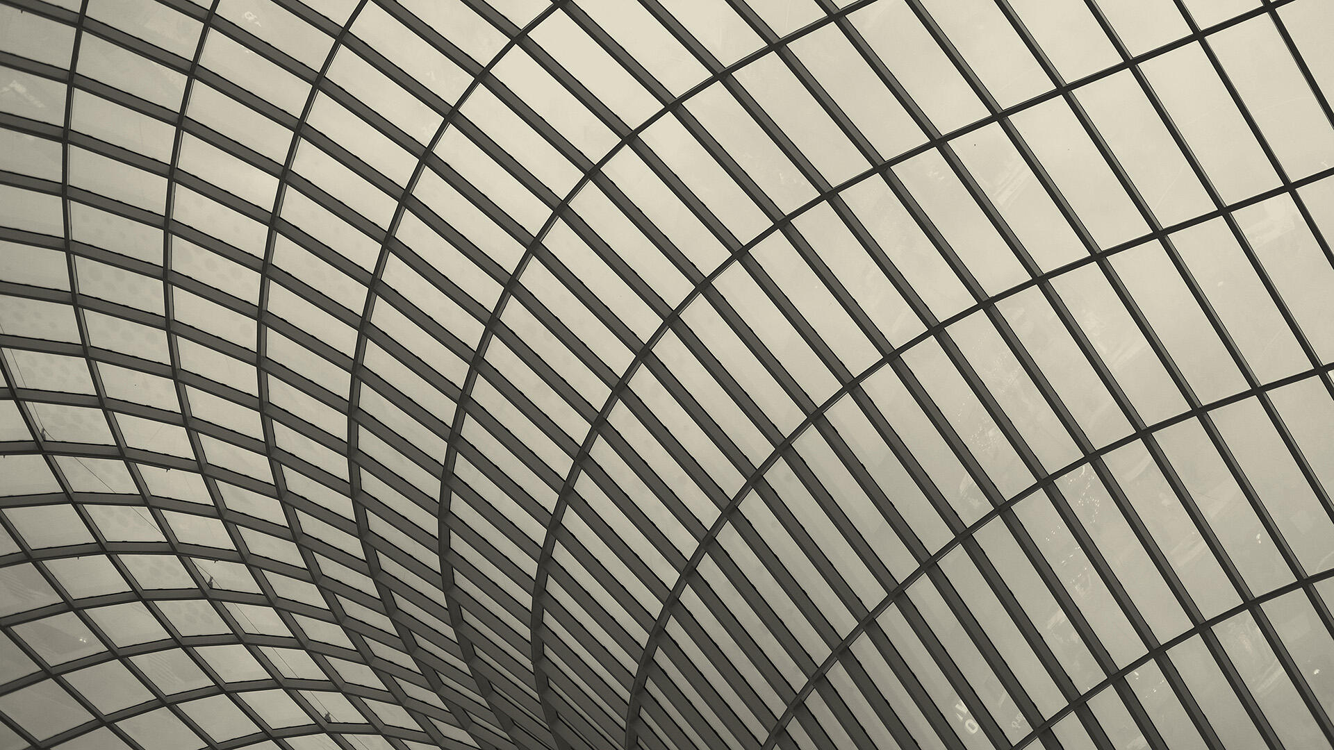 Who is the owner of software?